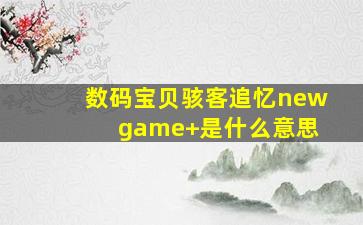 数码宝贝骇客追忆new game+是什么意思